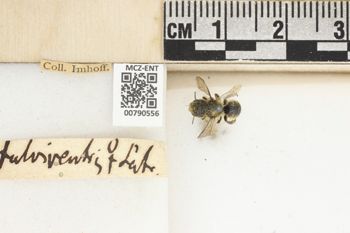 Media type: image;   Entomology 790556 Aspect: Labels